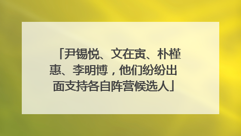 尹锡悦、文在寅、朴槿惠、李明博，他们纷纷出面支持各自阵营候选人