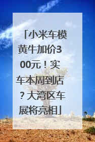 小米车模黄牛加价300元！实车本周到店？大湾区车展将亮相