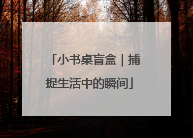 小书桌盲盒｜捕捉生活中的瞬间