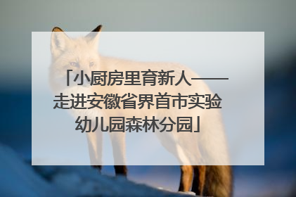 小厨房里育新人——走进安徽省界首市实验幼儿园森林分园