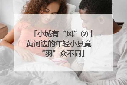 小城有“风”②丨黄河边的年轻小县竟“羽”众不同