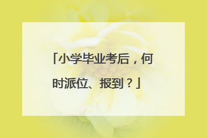 小学毕业考后，何时派位、报到？