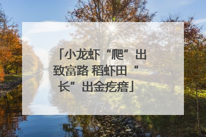 小龙虾“爬”出致富路 稻虾田“长”出金疙瘩