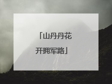 山丹丹花开拥军路