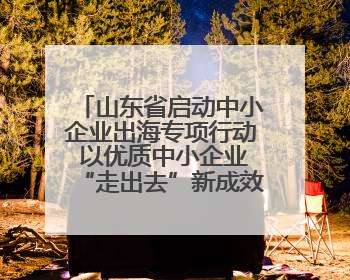 山东省启动中小企业出海专项行动 以优质中小企业“走出去”新成效展示山东产业发展新形象