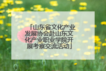 山东省文化产业发展协会赴山东文化产业职业学院开展考察交流活动