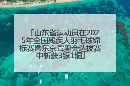 山东省运动员在2025年全国残疾人羽毛球锦标赛暨东京聋奥会选拔赛中斩获3银1铜
