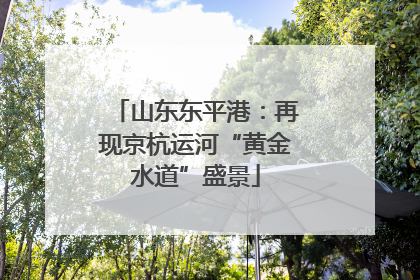 山东东平港：再现京杭运河“黄金水道”盛景