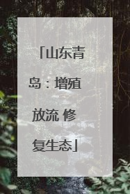 山东青岛：增殖放流 修复生态