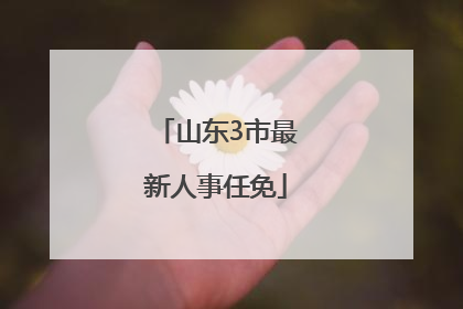 山东3市最新人事任免
