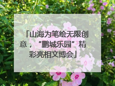 山海为笔绘无限创意，“鹏城乐园”精彩亮相文博会