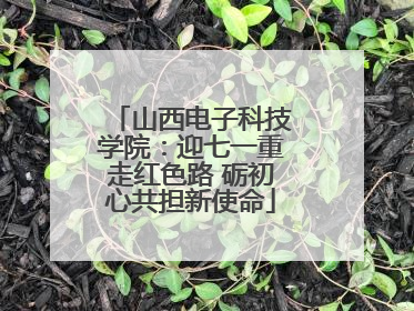 山西电子科技学院：迎七一重走红色路 砺初心共担新使命