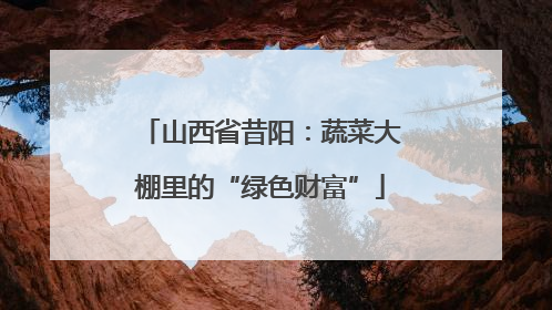 山西省昔阳：蔬菜大棚里的“绿色财富”