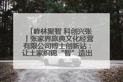 峰林聚智 科创兴张丨张家界旅典文化经营有限公司博士创新站：让土家织锦“智”造出非遗新传奇