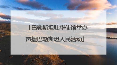 巴勒斯坦驻华使馆举办声援巴勒斯坦人民活动