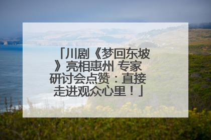 川剧《梦回东坡》亮相惠州 专家研讨会点赞：直接走进观众心里！