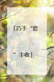 巧手“套”丰收