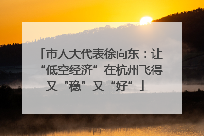 市人大代表徐向东：让“低空经济”在杭州飞得又“稳”又“好”