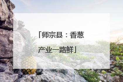师宗县：香葱产业一路鲜