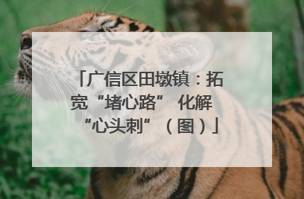广信区田墩镇：拓宽“堵心路” 化解“心头刺”（图）