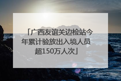 广西友谊关边检站今年累计验放出入境人员超150万人次