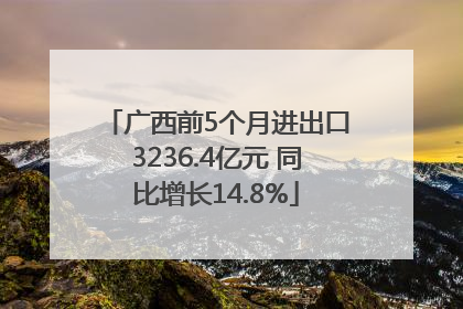 广西前5个月进出口3236.4亿元 同比增长14.8%