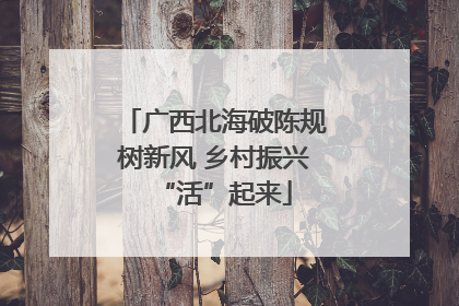 广西北海破陈规树新风 乡村振兴“活”起来