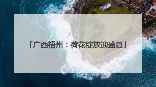广西梧州：荷花绽放迎盛夏