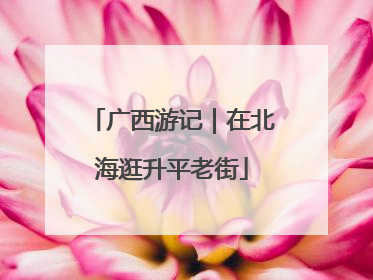 广西游记｜在北海逛升平老街