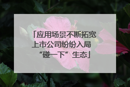 应用场景不断拓宽 上市公司纷纷入局“碰一下”生态