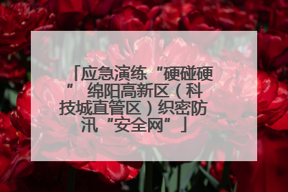应急演练“硬碰硬” 绵阳高新区（科技城直管区）织密防汛“安全网”