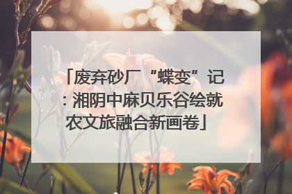 废弃砂厂“蝶变”记：湘阴中麻贝乐谷绘就农文旅融合新画卷