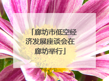 廊坊市低空经济发展座谈会在廊坊举行