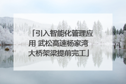 引入智能化管理应用 武松高速杨家湾大桥架梁提前完工