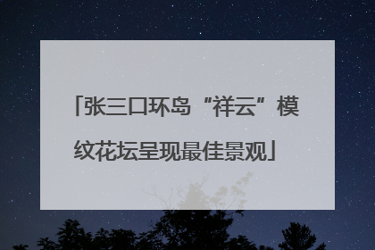 张三口环岛“祥云”模纹花坛呈现最佳景观