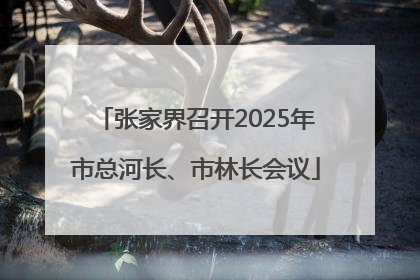 张家界召开2025年市总河长、市林长会议