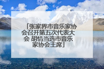 张家界市音乐家协会召开第五次代表大会 胡情当选市音乐家协会主席