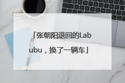 张朝阳退回的Labubu，换了一辆车