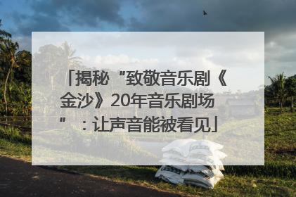 揭秘“致敬音乐剧《金沙》20年音乐剧场”：让声音能被看见