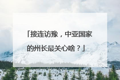 接连访豫,中亚国家的州长最关心啥?