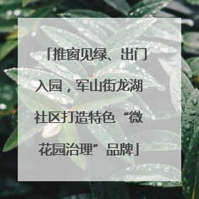 推窗见绿、出门入园，军山街龙湖社区打造特色“微花园治理”品牌