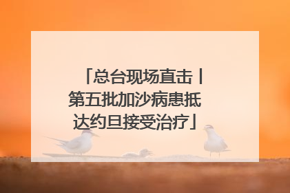 总台现场直击丨第五批加沙病患抵达约旦接受治疗