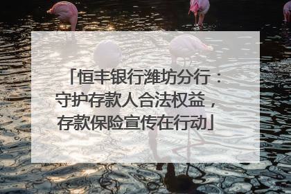 恒丰银行潍坊分行：守护存款人合法权益，存款保险宣传在行动