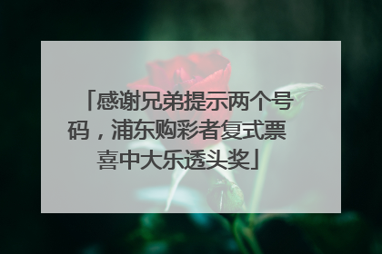 感谢兄弟提示两个号码，浦东购彩者复式票喜中大乐透头奖