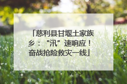 慈利县甘堰土家族乡：“汛”速响应！奋战抢险救灾一线