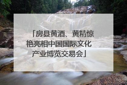 房县黄酒、黄精惊艳亮相中国国际文化产业博览交易会