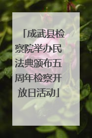 成武县检察院举办民法典颁布五周年检察开放日活动
