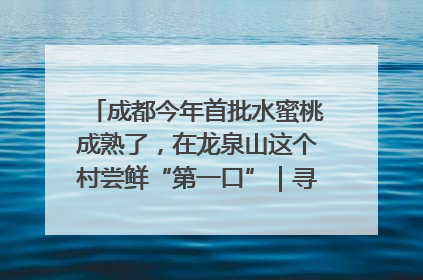 成都今年首批水蜜桃成熟了，在龙泉山这个村尝鲜“第一口”｜寻找和美乡村推荐官