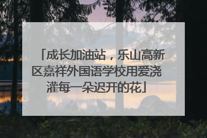 成长加油站，乐山高新区嘉祥外国语学校用爱浇灌每一朵迟开的花