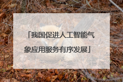 我国促进人工智能气象应用服务有序发展